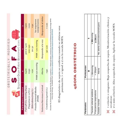 SOFA Sepsis.pdf