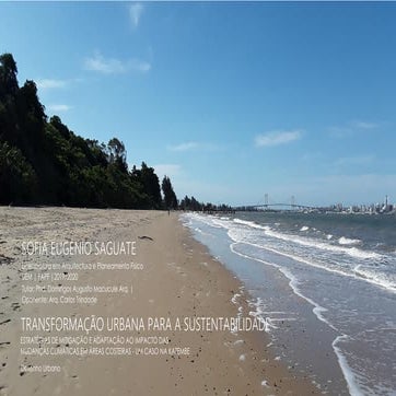 TRANSFORMAÇÃO URBANA PARA A SUSTENTABILIDADE: ESTRATÉGIAS DE MITIGAÇÃO E ADAP...