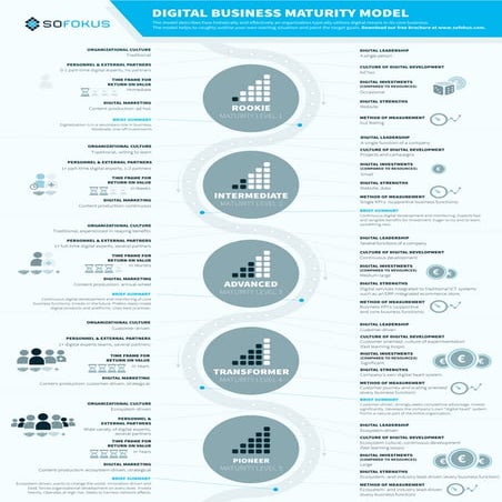 Orchestration, Automation and Virtualisation - Maturity Model | PDF