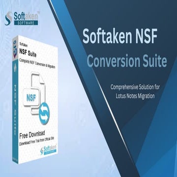 NSF Converter Simplified: From Complexity to Clarity | PDF