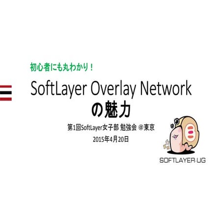初心者にも丸わかり！Soft layeroverlaynetworkの魅力