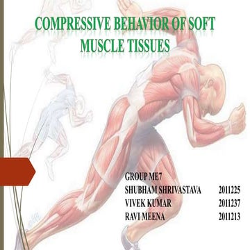 Compressive behavior of soft muscle tissues