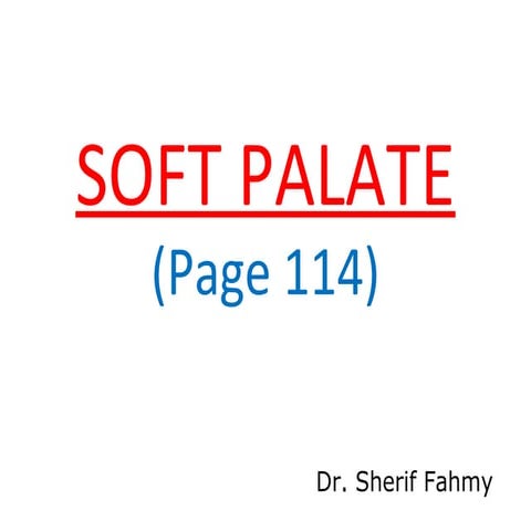 Soft Palate (Anatomy of the Neck)