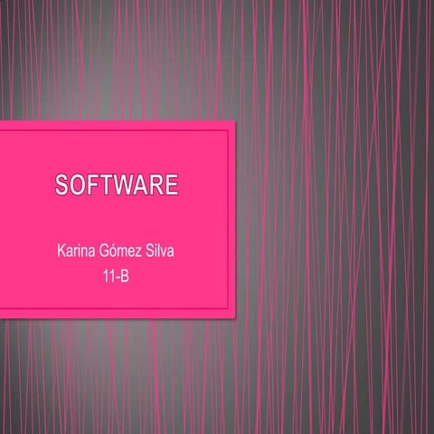 Software