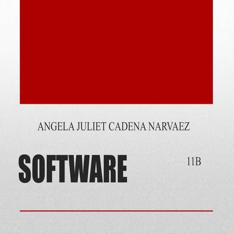 Software