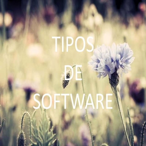 Software