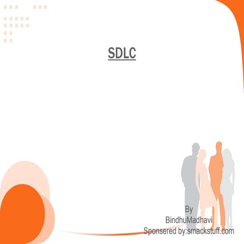 Software development life cycle