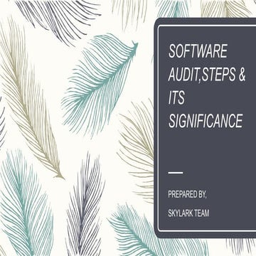 Software audiit   information management
