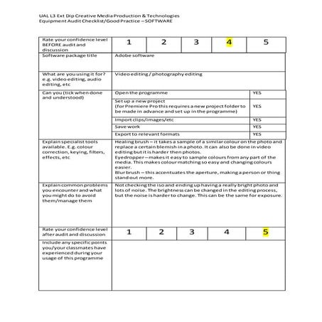 Software audit form blank(1)
