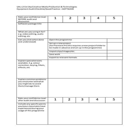 Software audit form blank(1)