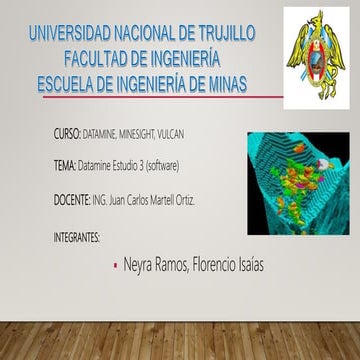 Software datamine  diapositivas