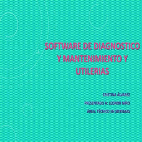 Software de diagnostico y mantenimiento