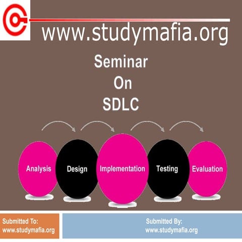 Software Developement Life Cycle ppt.pptx