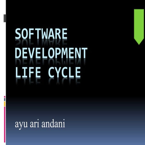 Software development life cycle