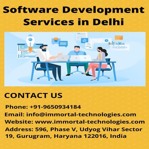 Software development services in delhi