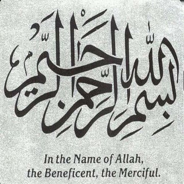 Software licencing techniqes