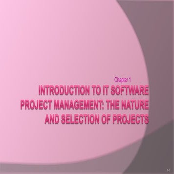 Software project management