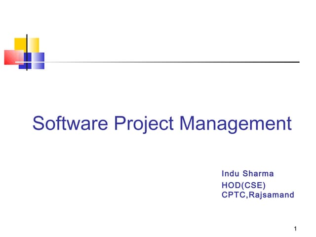 Software project management