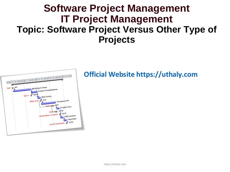 Software project versus other type of projects