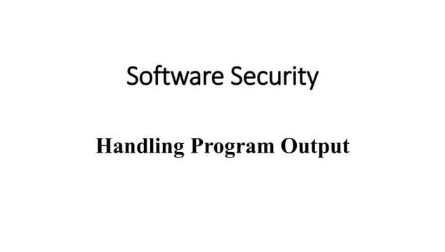 Software security 