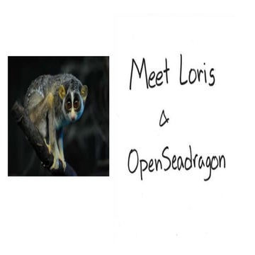 Meet Loris and OpenSeadragon