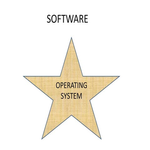 Software (application and utilities)