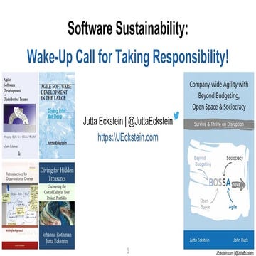 Software Sustainability: Wake-Up Call for Taking Responsibility