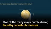 Cannabis Computer Software That Fin...