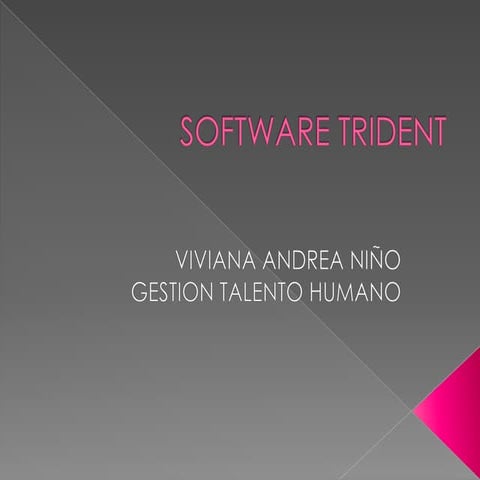 Software trident (1) | PPTX