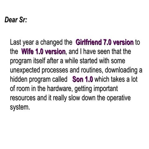 software-wife-1.0