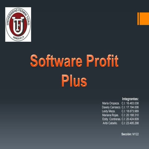 Profit plus | PPTX