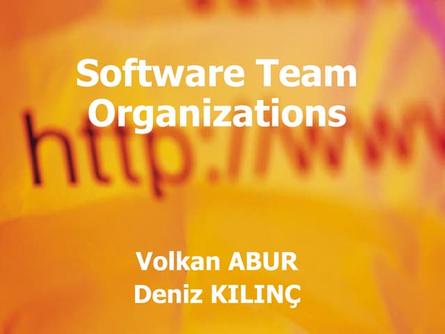 Sofware Team Organizations
