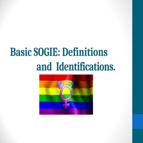 The Basic Sexual Orientation Gender Identification and Expression