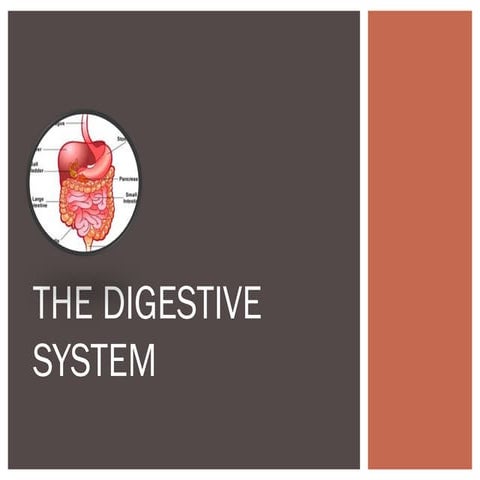 Soguilon, jhomer denn