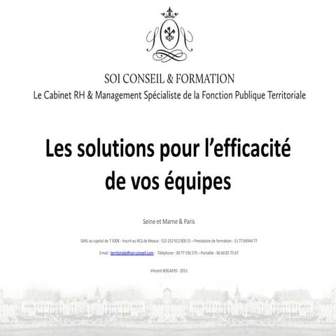 Soi conseil et formation management