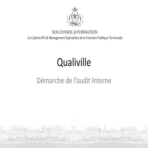 Soi conseil et formation qualiville audit interne