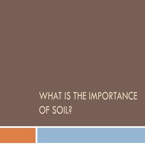 Soil