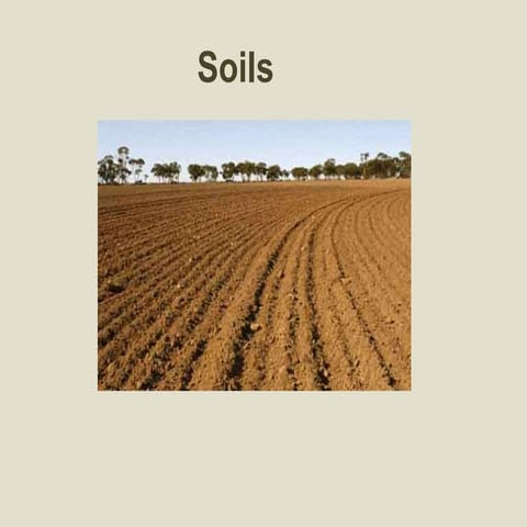 Soil