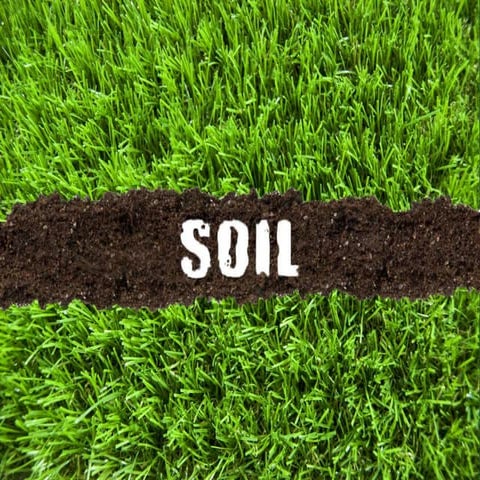 Soil 160830191554