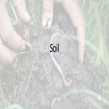 Soil
