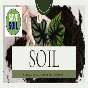 SOIL.pptx