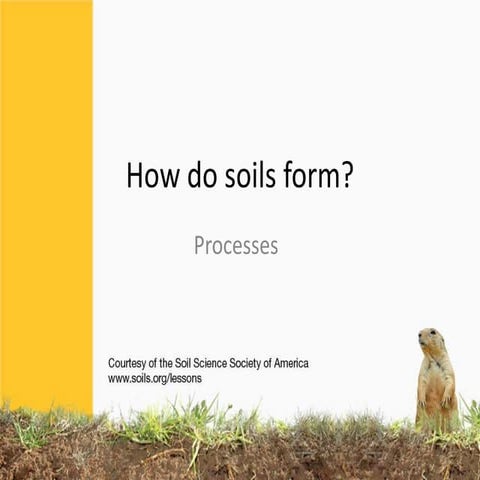 Soil formation-processes