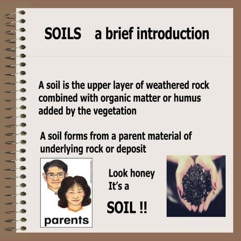 Soil Profile