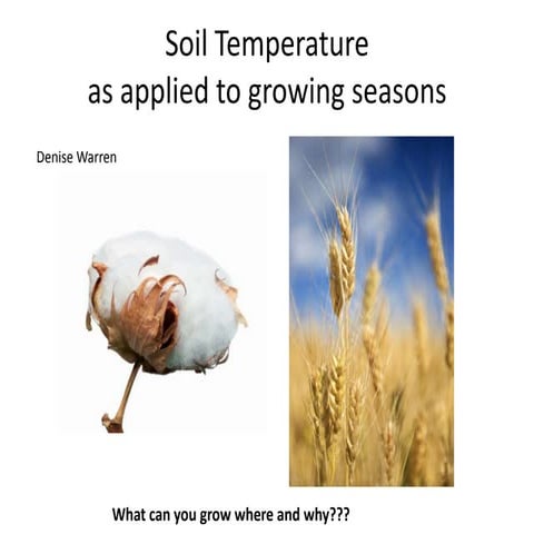 Soil temp (Denise)