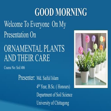 Presentation on Ornamental Plants and their care 