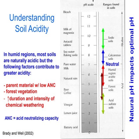 Soil acidity