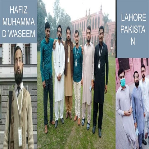 Soila (complete medium for life)