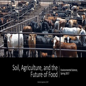 Soil, agriculture, and the future of food by Kiersten Lippmann