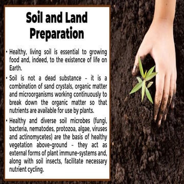 Soil and land preparation