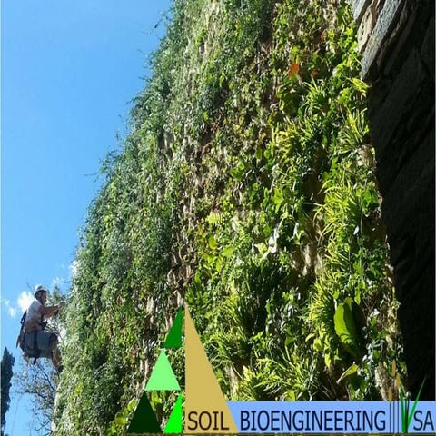 Soil Bioengineering